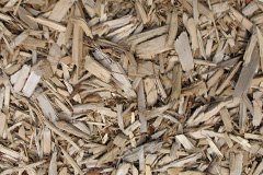 biomass boilers Newerne